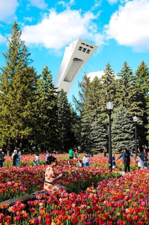 Suite Mont-Royal By Mtlvacationrentals Montréal Kültér fotó